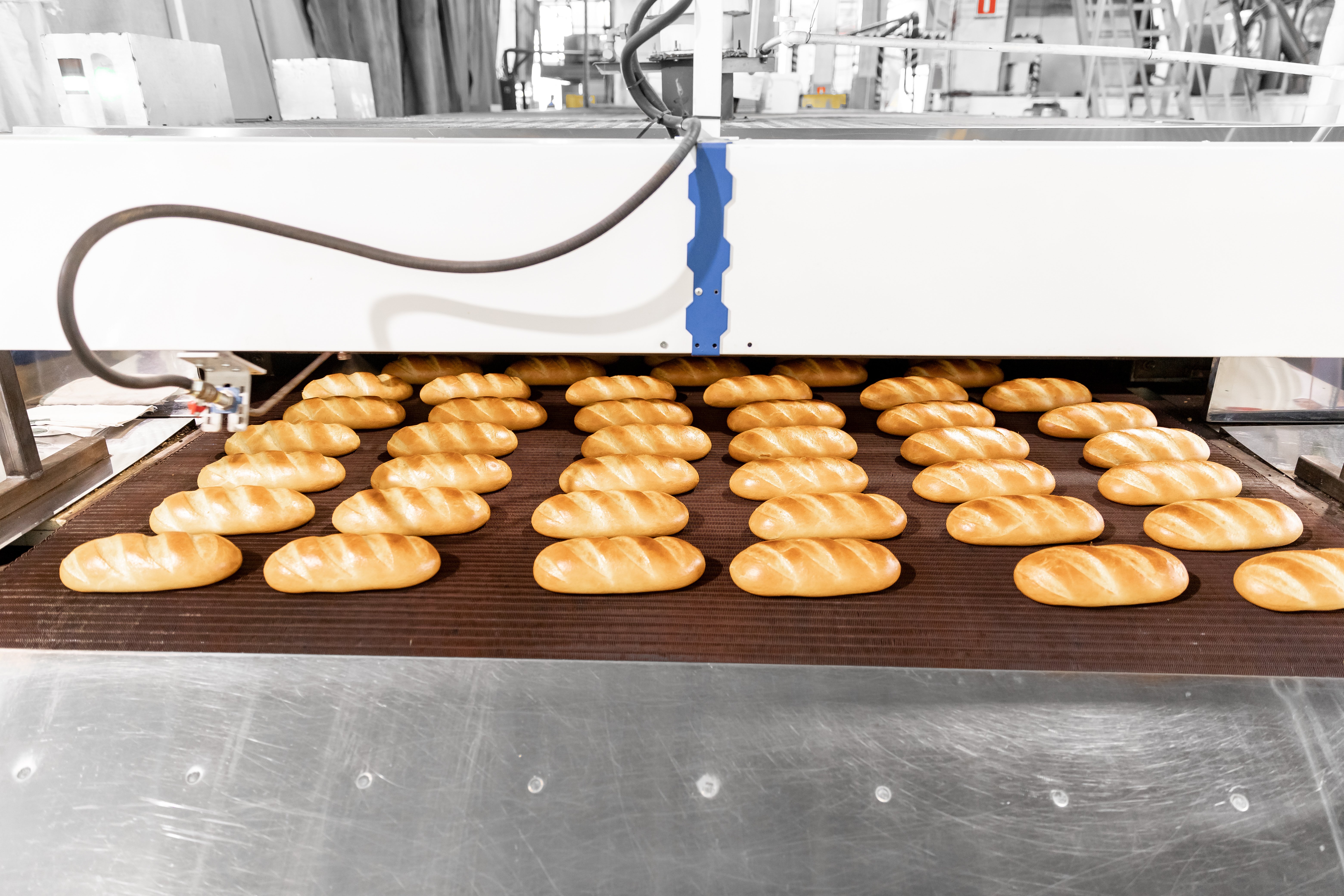 Machine Vision AI for Surface Inspection