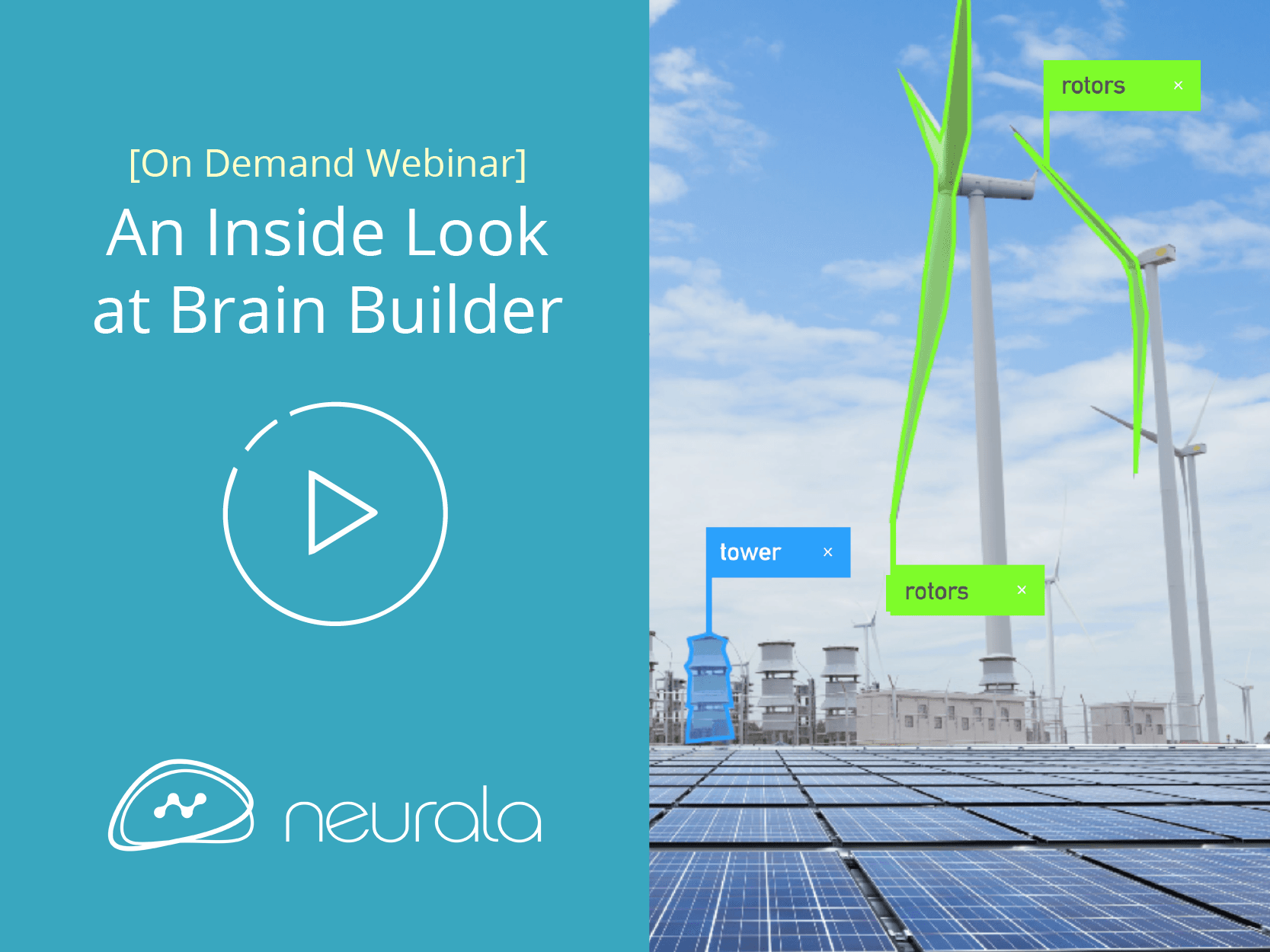 An Insider Look at Brain Builder